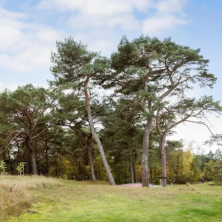 Stunning In With Wifi *